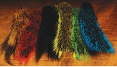 Squirrel Tail Combo